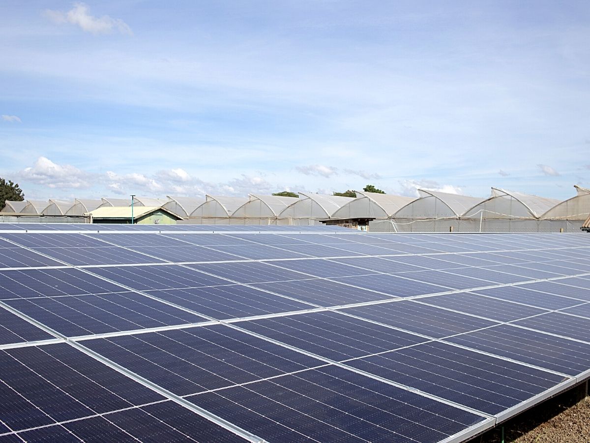 Solar Panel Installation